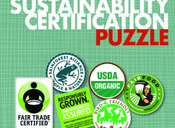 Piecing Together Systemic Change with Certifications